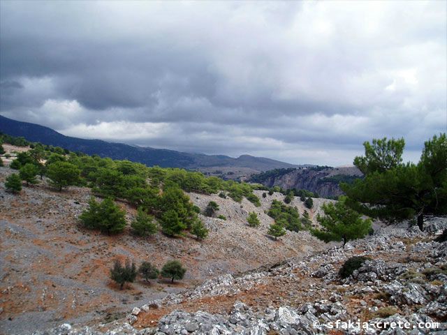 Photo report of a walk around Loutro, Sfakia, Crete, September 2008